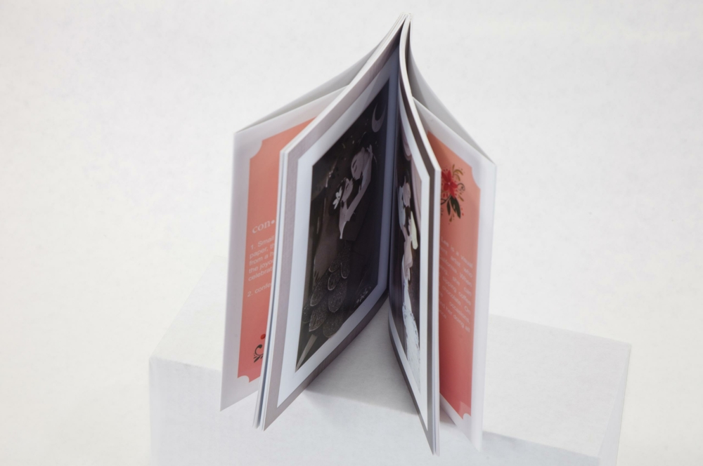 44817 MG 2602-Edited softcover with flaps, art book